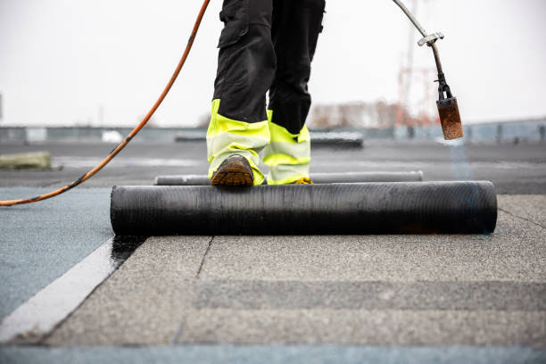 Best Roof Maintenance and Cleaning  in Wauwatosa, WI